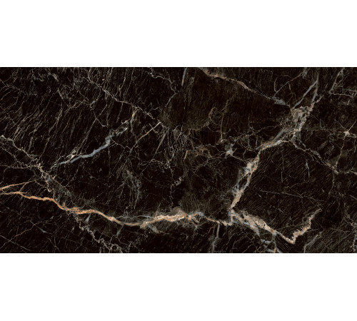 PGT1206010105MGR Керамогранит Zebrano черный матовый 60x120
