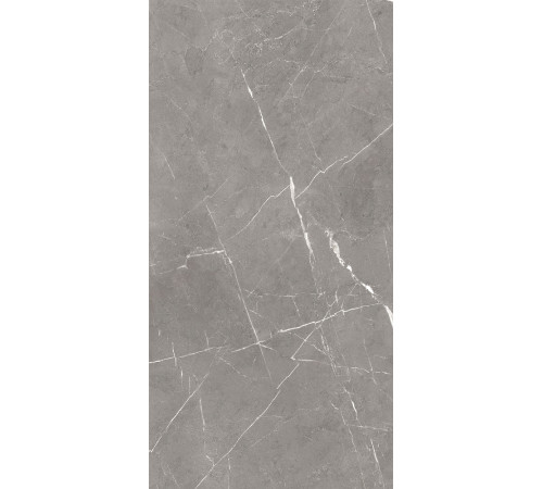 GT120603001MCR Керамогранит Encanto серый карвинг матовый 60x120