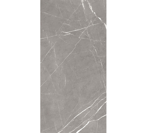 GT120603001MCR Керамогранит Encanto серый карвинг матовый 60x120