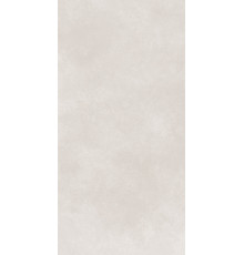 GT1206017706MR Керамогранит Cassini светло-серый матовый 60x120