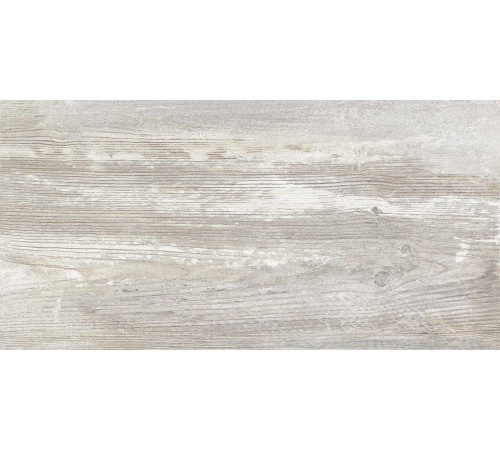 GT225VG Керамогранит Antares серый матовый 30x60