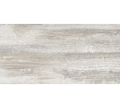 GT225VG Керамогранит Antares серый матовый 30x60