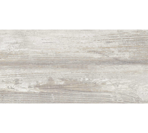 GT225VG Керамогранит Antares серый матовый 30x60