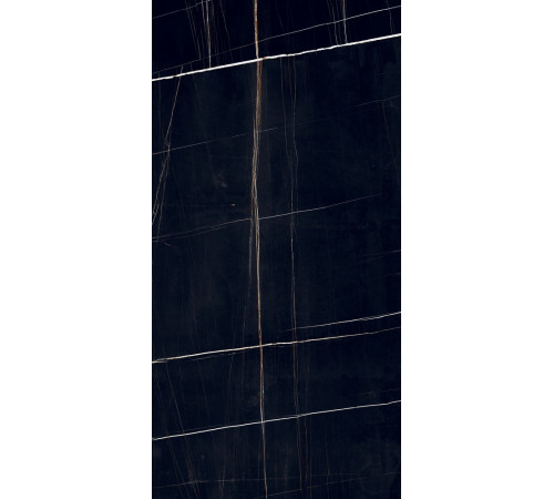 PGT120609705SGR Керамогранит Dorato черный матовый 60x120