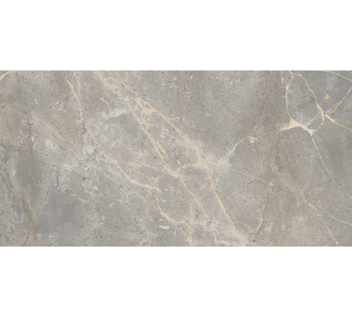 GT198VG Плитка настенная Spring серая глянцевая 30x60