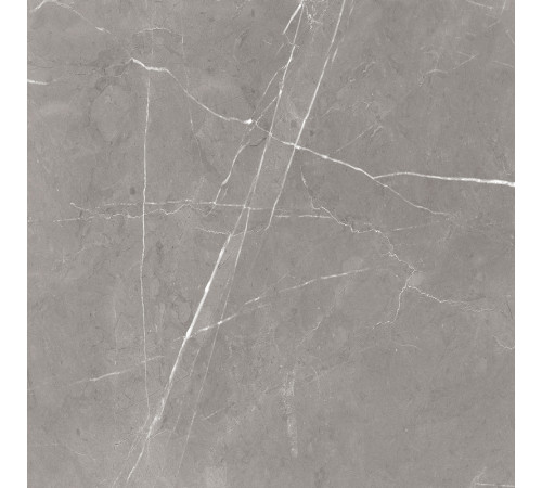 GT60603001MCR Керамогранит Encanto серый матовый 60x60