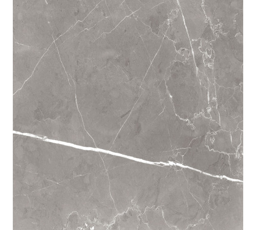 GT60603001MCR Керамогранит Encanto серый матовый 60x60