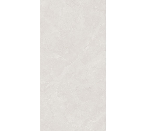 GT1206016815MDR Керамогранит Timeless серо-бежевый матовый 60x120