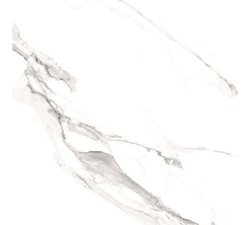 GT606012003SPR Керамогранит Alfanzo белый лаппатированный 60x60