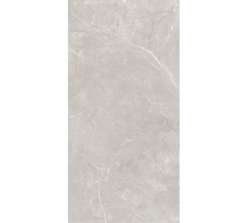 GT1206012601SSR Керамогранит Sogdiana серый сатинированный 60x120