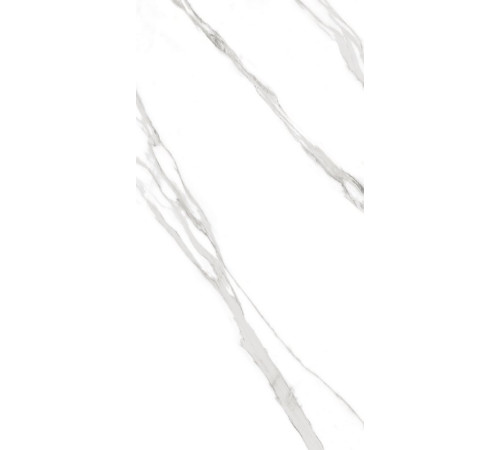 GT120606503PR Керамогранит Carrara Bronze белый полированный 60x120