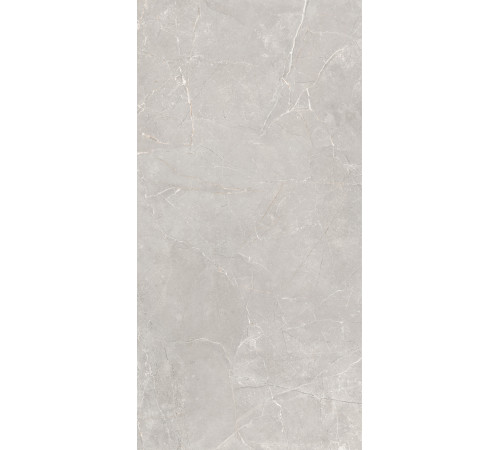 GT1206012601SSR Керамогранит Sogdiana серый сатинированный 60x120