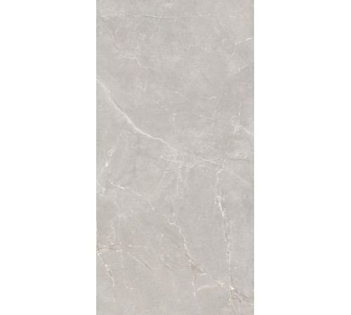 GT1206012601SSR Керамогранит Sogdiana серый сатинированный 60x120